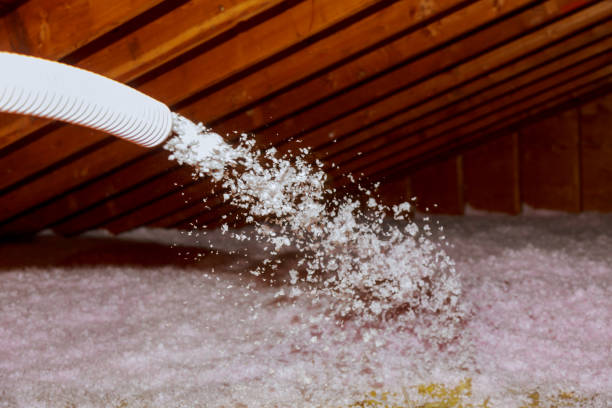 Best Local Insulation Services  in Avis, PA