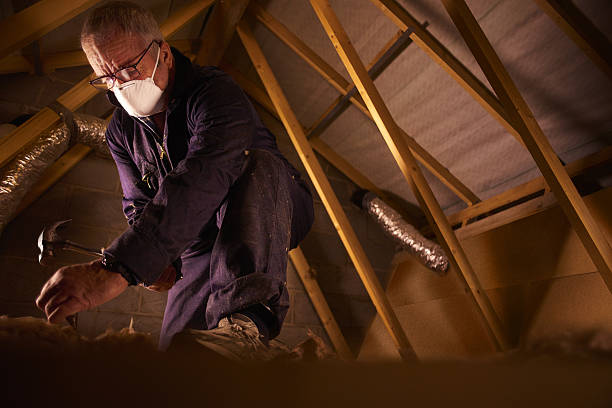 Best Insulation Repair Services  in Avis, PA